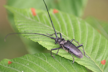 Similar image 698523