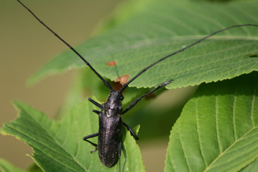 Similar image 698524