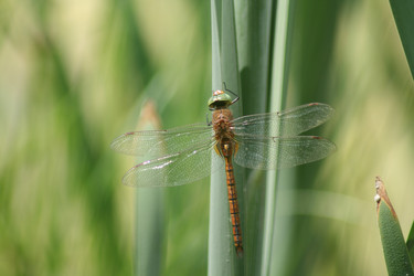 Similar image 698525