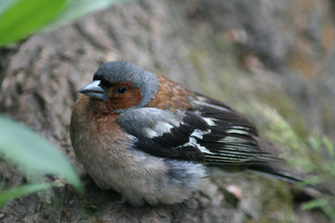 Similar image 698526