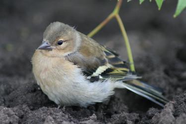 Similar image 698527