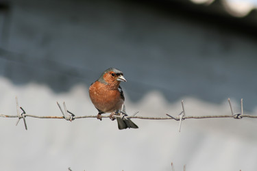 Similar image 698530