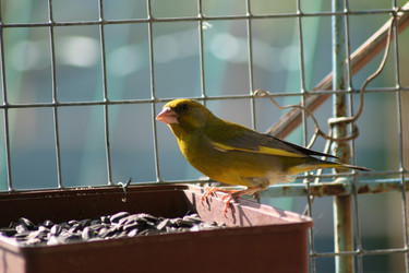 Similar image 698531