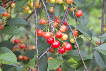 Similar image 698533