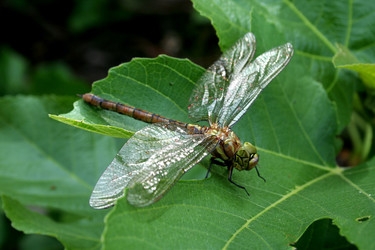 Similar image 698554