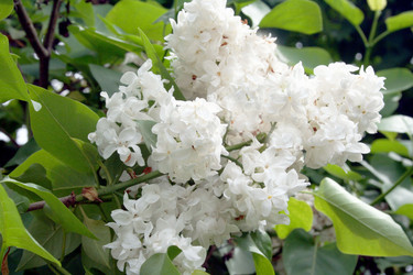 Similar image 698556