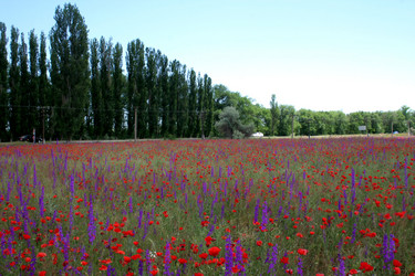 Similar image 698557