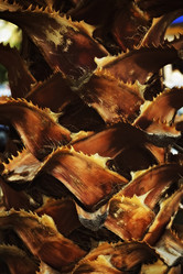 Similar image 698559