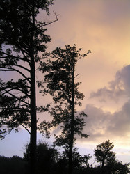 Similar image 698563