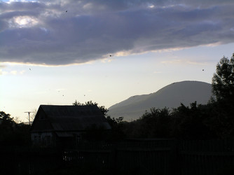 Similar image 698565