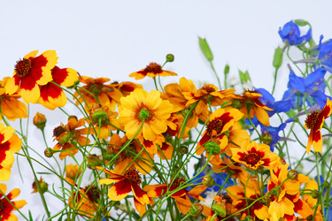 Similar image 698728