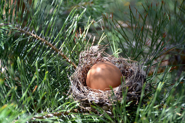 Similar image 698809