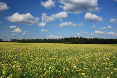 Similar image 698815