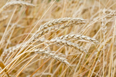 Similar image 698841