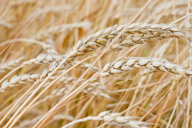 Similar image 698846