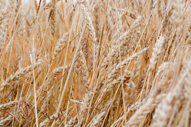 Similar image 698849