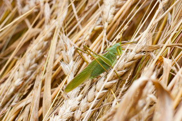 Similar image 698852