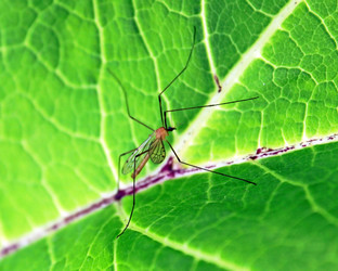 Similar image 698855