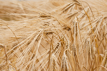 Similar image 698858