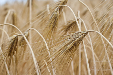 Similar image 698860