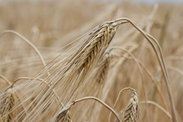 Similar image 698862