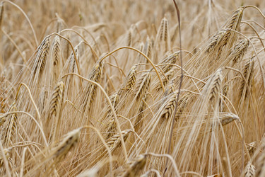 Similar image 698864