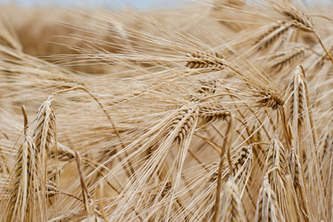 Similar image 698866