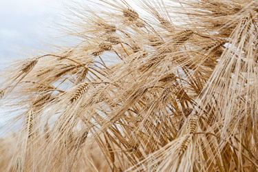 Similar image 698869