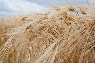 Similar image 698871