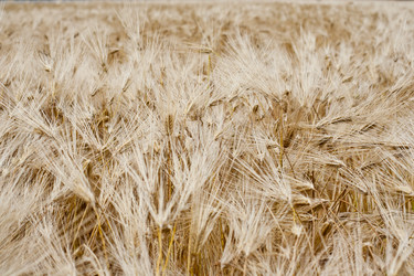 Similar image 698872