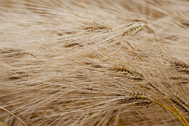 Similar image 698873