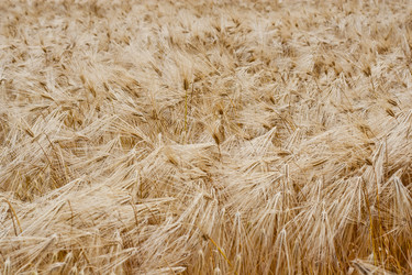 Similar image 698878