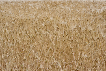 Similar image 698889