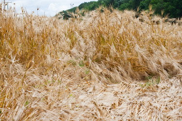 Similar image 698891