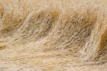 Similar image 698896