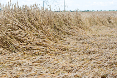 Similar image 698899