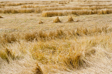 Similar image 698903