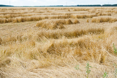 Similar image 698905