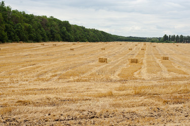 Similar image 698907