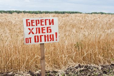 Similar image 698911