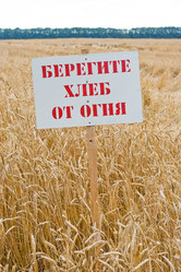 Similar image 698914