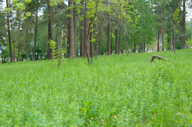 Similar image 698922