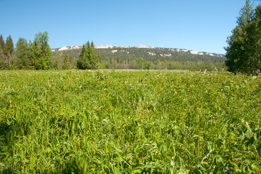 Similar image 698944