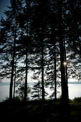 Similar image 698949