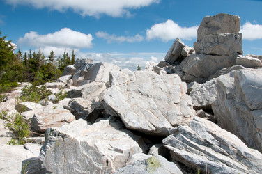 Similar image 698956