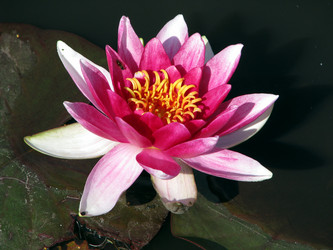 Similar image 699004