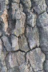 Similar image 699005