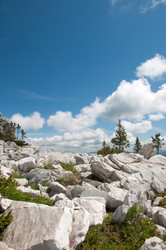 Similar image 699061