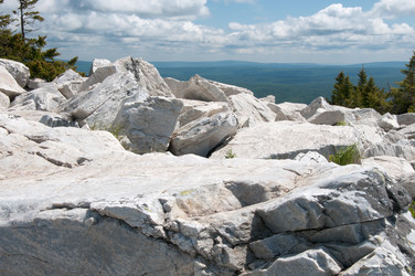 Similar image 699063