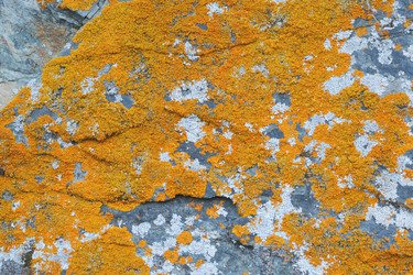 Similar image 699137